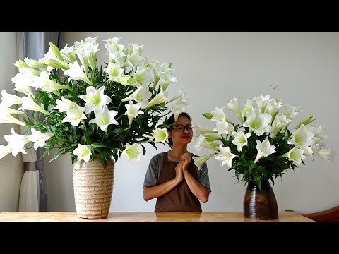 #19 Cắm hoa bách hợp | loa kèn trắng
