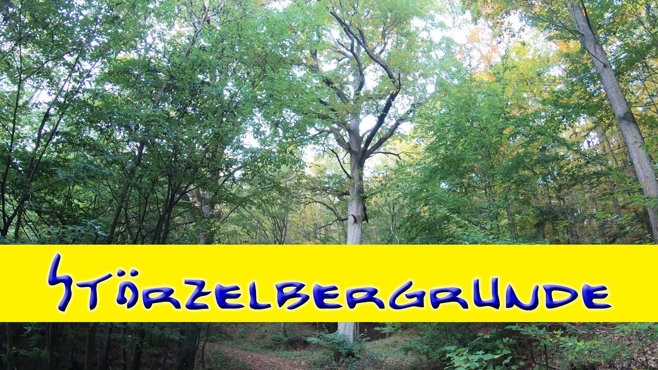 Wanderung : Störzelbergrunde : Morbach