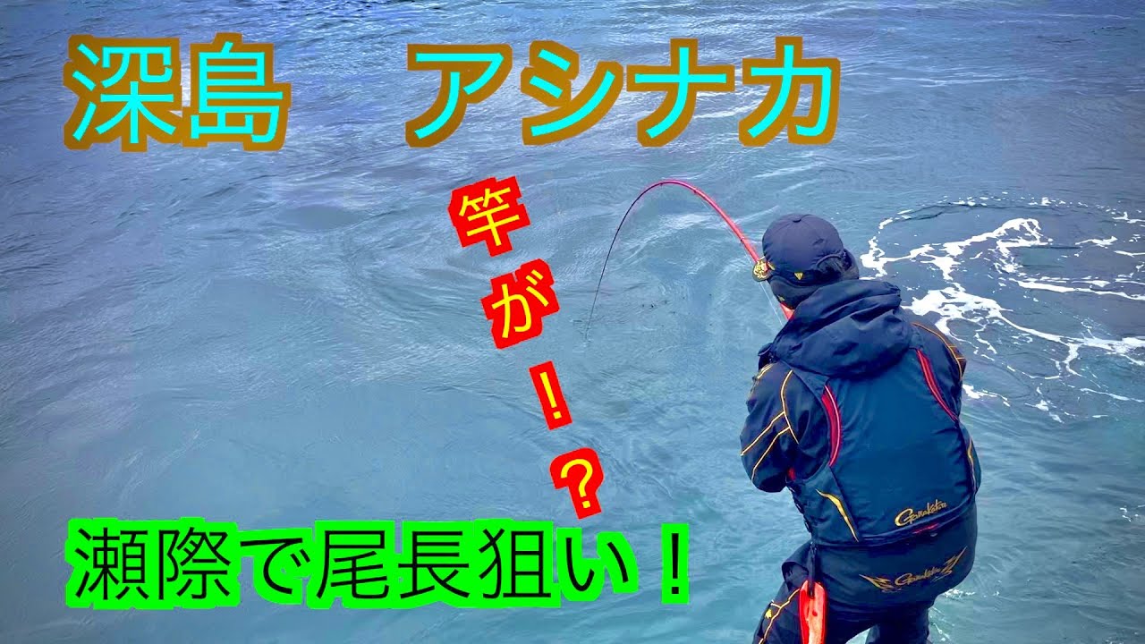 『深島』の磯で１・５号竿がぶち曲がる！