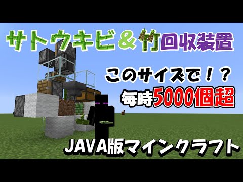 Java版minecraft このサイズでサトウキビ 竹大量ゲット 超高速回収装置 Youtube