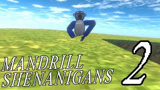 Mandrill Shenanigans 2 (new start)