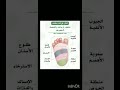 اماكن في قدم الطفل بالضغط عليها يتخفف الألم 
