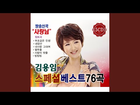 대지의 항구