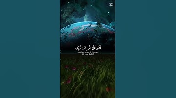 سورة الزمر | الشيخ محمد اللحيدان