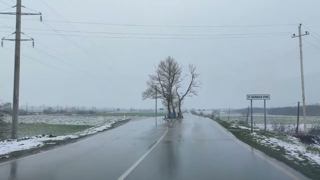 Xudat - Yalama yolunun ortasındakı çinar agacları ilə bağlı maraqlı hadisə