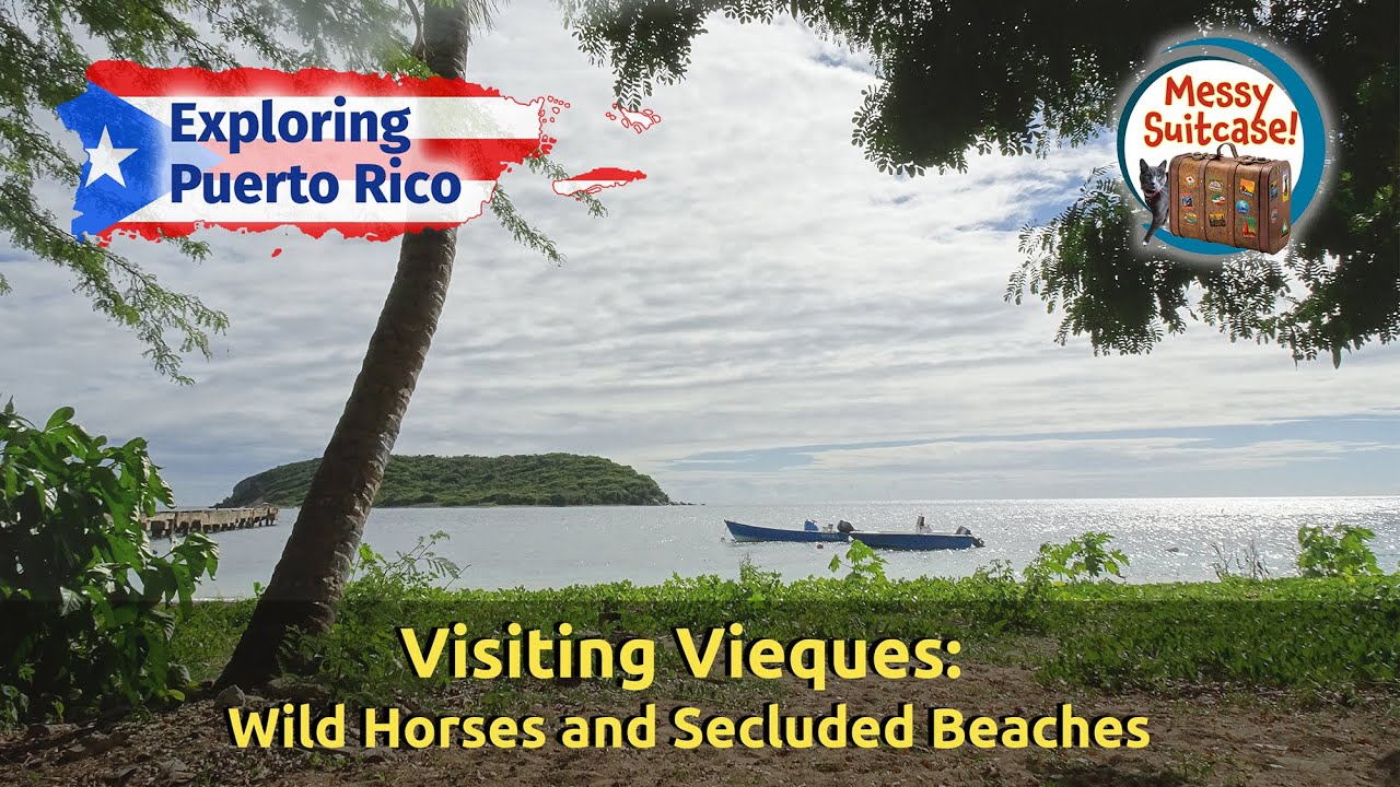 Vieques is Not What You Expect!