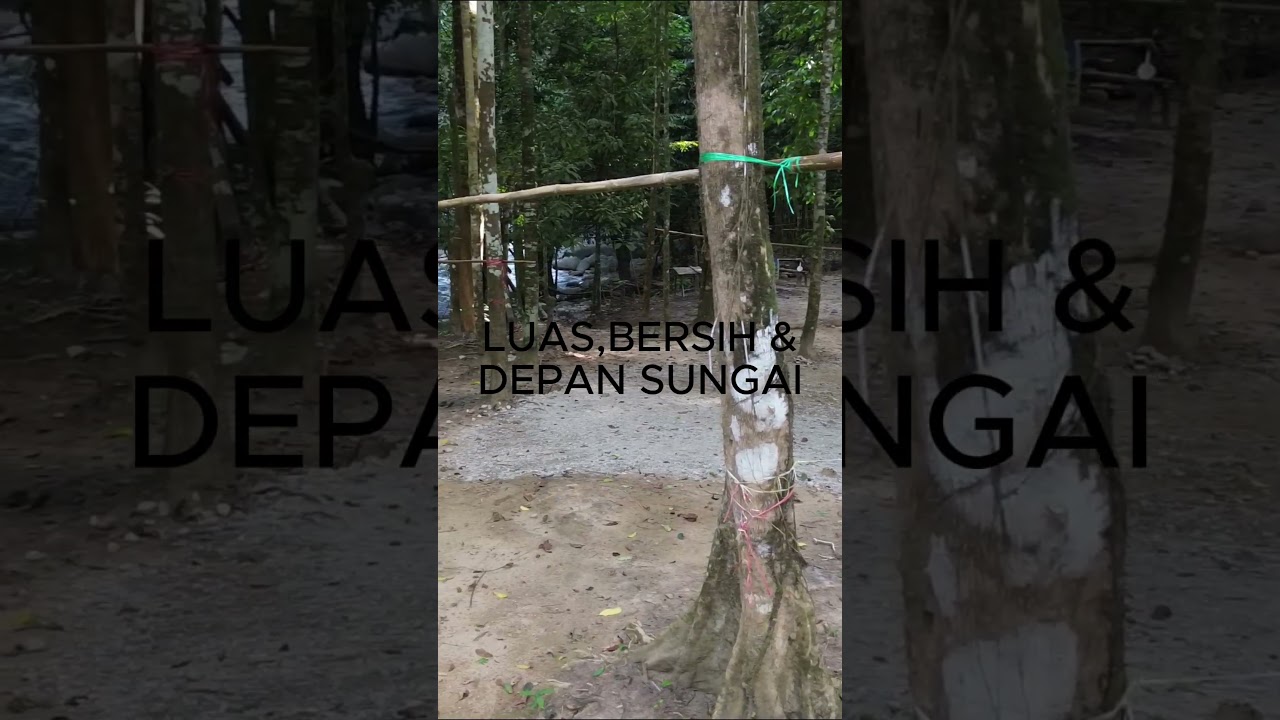 Facilities in Sg.Seladang Campsite. Camp by the river