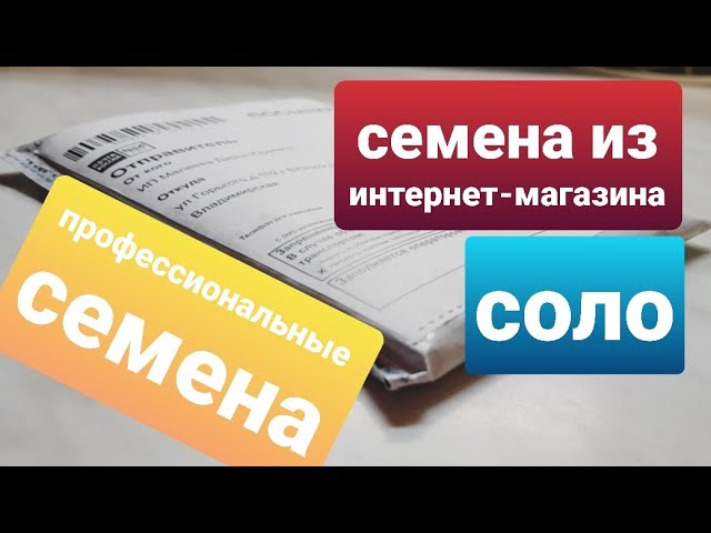 Профессиональные Семена Интернет Магазин