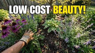 7 Affordable Perennials To Plant This April That Look Expensive