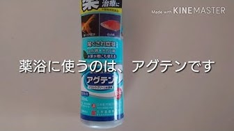 アグテン Youtube