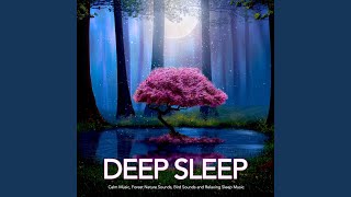 Soft Bird Music For Sleep screenshot 4