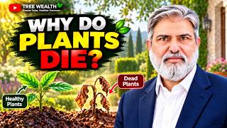 Details Why Do Your Plants Die 27 Mistakes You Need to Avoid Guide