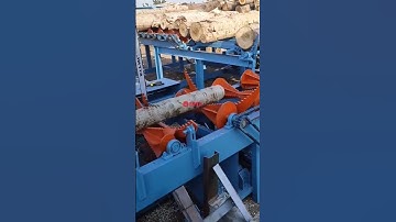 log handing and sorting machine line