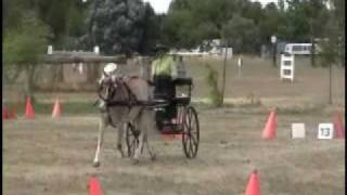 Carriage Driving Cones
