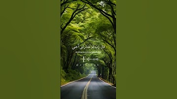 أكتب شيء تؤجر عليه🤍 #تلاوة_خاشعة #اسلام_صبحي #تدبر_القرآن #سورة_طة  #القران_الكريم