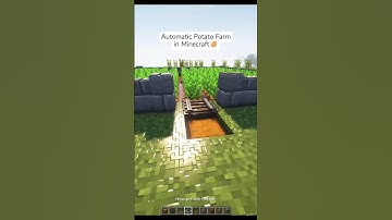 Minecraft : Automatic Potato Farm 🥔#shorts