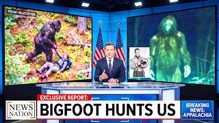 'They're Starting To Hunt Us'. Disturbing Sasquatch Footage From Appalachia