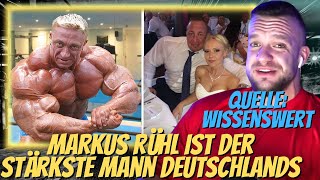 Wissenswert zerstört Markus Rühl! was soll die scheiße? William Niewiara Live Reaktion