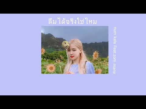 ลืมได้จริงใช่ไหม-num kala Feat.zom marie《เนื้อเพลง》
