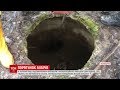 Рятувальники витягли з каналізаційного колодязя двох бобрів у Львівській області