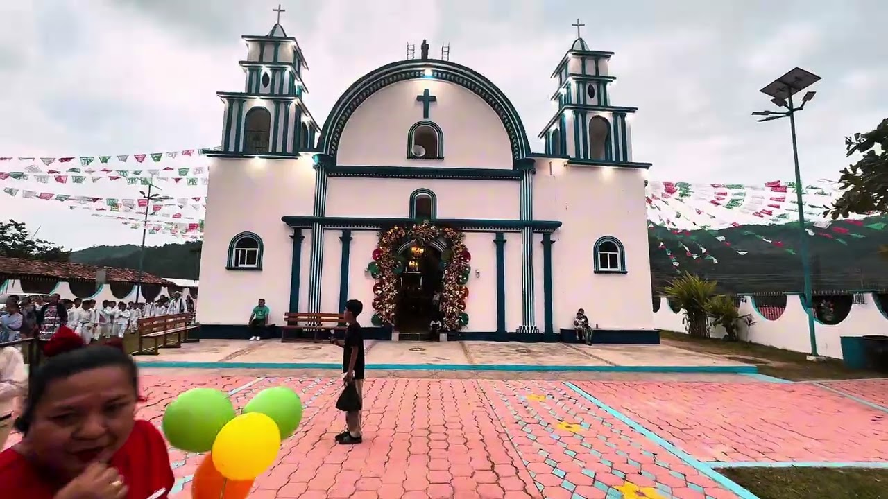 Pendón de n San Pedro Cuitlapan 2026