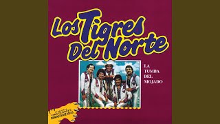 Video thumbnail of "Los Tigres Del Norte - Creiste"