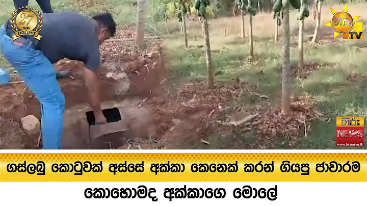 ගස්ලබු කොටුවක් අස්සේ අක්කා කෙනෙක් කරන් ගියපු ජාවාරම - කොහොමද අක්කාගෙ මොලේ