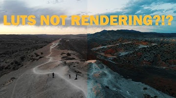 Premiere Pro Tutorial: How To Fix Custom LUTS Not Rendering Out In Adobe Media Encoder