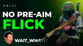 no pre-aim FLICK | Priyl