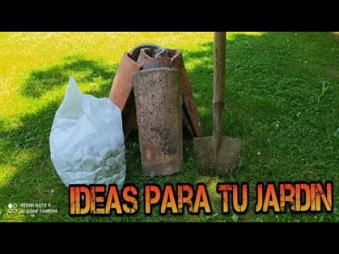 Video: Coles Verdes: Decoración Para Tu Jardín