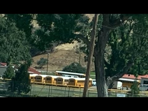 TUSD music video of 2024