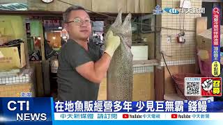 每日必看】澎湖漁民捕獲"15公斤錢鰻" 單尾價格破萬! 20230714 ‪@中天‬ ...