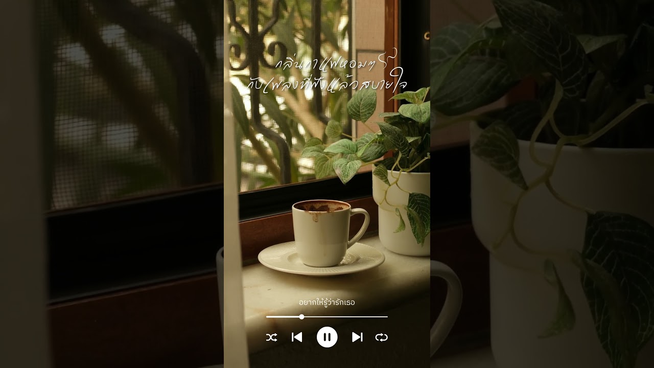 รวมเพลงทำงาน จิบกาแฟเพลินๆ #gmmmusic #ฟังเพลงชิวๆ #เพลงเพราะๆฟังสบายๆ