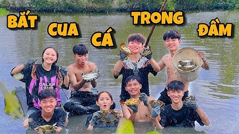 Anh Ba Phai | Một Ngày Bắt Cua Cá Trong Vuông Cây Cực Vui 🦀 🐟