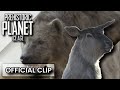 CAVE HYENAS HUNT MEGALOCERAS PREHISTORIC PLANET ICE AGE CLIP 