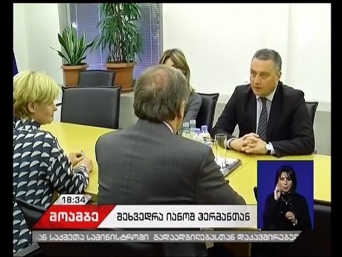 ვიქტორ დოლიძესა და იანოშ ჰერმანს შორის გაცნობითი ხასიათის შეხვედრა გაიმართა
