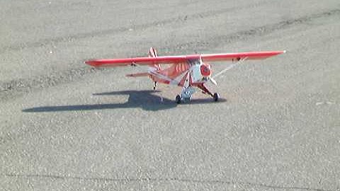 World Models Clipped Wing Cub Tiny Road Crash