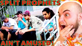 Split Prophets - Ain't Amused *FIRST TIME REACTION*