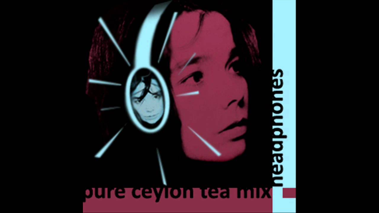 Bjork Headphones Telegraph