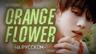 ENHYPEN - ORANGE FLOWER (YOU COMPLETE ME) (ПЕРЕВОД НА РУССКИЙ; РУС. КАРАОКЕ)