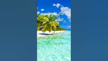 القرآن الكريم راحة نفسية #المصحف #اكسبلور #تلاوات_رائعة