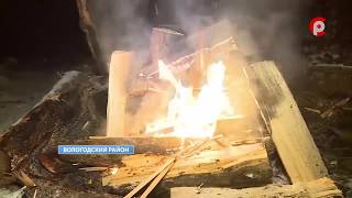Традиции Нового года