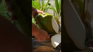 peel a large coconut