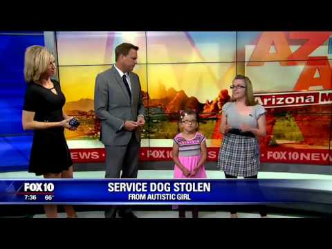 Video: Scoop za hišne ljubljenčke: 13 častnikov izsledenih ukradenih mladičev, terapevtski psi
