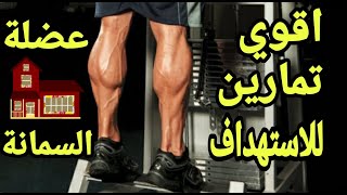 تمارين تضخيم عضلة السمانة ----- calves Huge Calf Tips