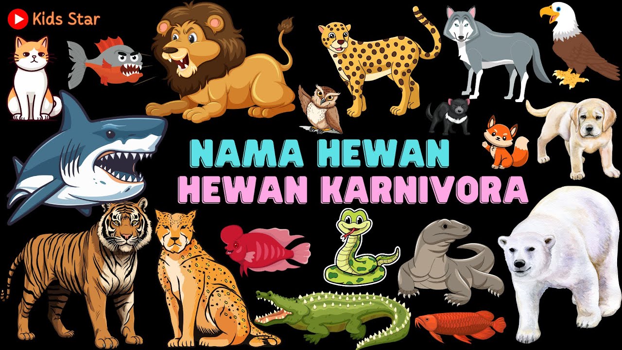 BELAJAR NAMA HEWAN PEMAKAN DAGING - HEWAN KARNIVORA  CARNIVORED ANIMALS NAMES MENGENAL NAMA BINATANG
