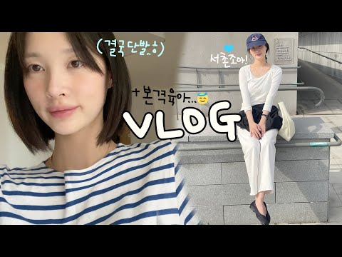 [vlog]본격 <strong>육아</strong> 시작!(디제이 <strong>휴직</strong>/엽떡 왤케 매운건데/결국 단발로..😇/갈쿡 집밥/파스타와 샌드위치/비빔국수 대패삼겹살/서촌 데이트/시바견 택이)