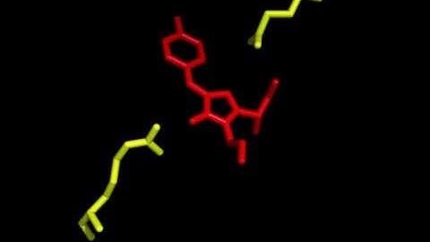 Pymol Demo using GFP