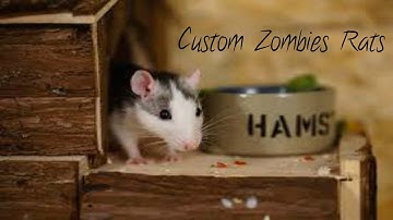 Cod WaW Custom Zombies Rats Part 1 - The Difficult Dogs