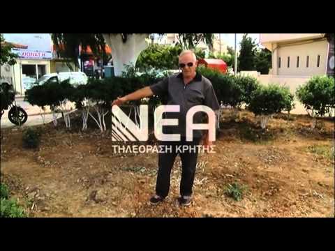 1 Οκτωβρίου Παγκόσμια Ημέρα Ηλικιωμένων